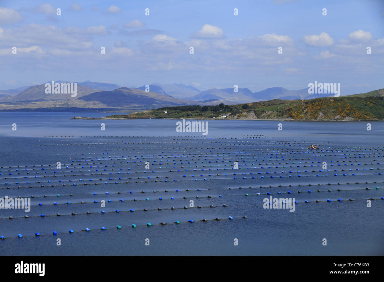 Mitilicoltura vicino Lauragh, penisola di Beara, Co Cork/Confine di Kerry, Rep dell'Irlanda. Foto Stock