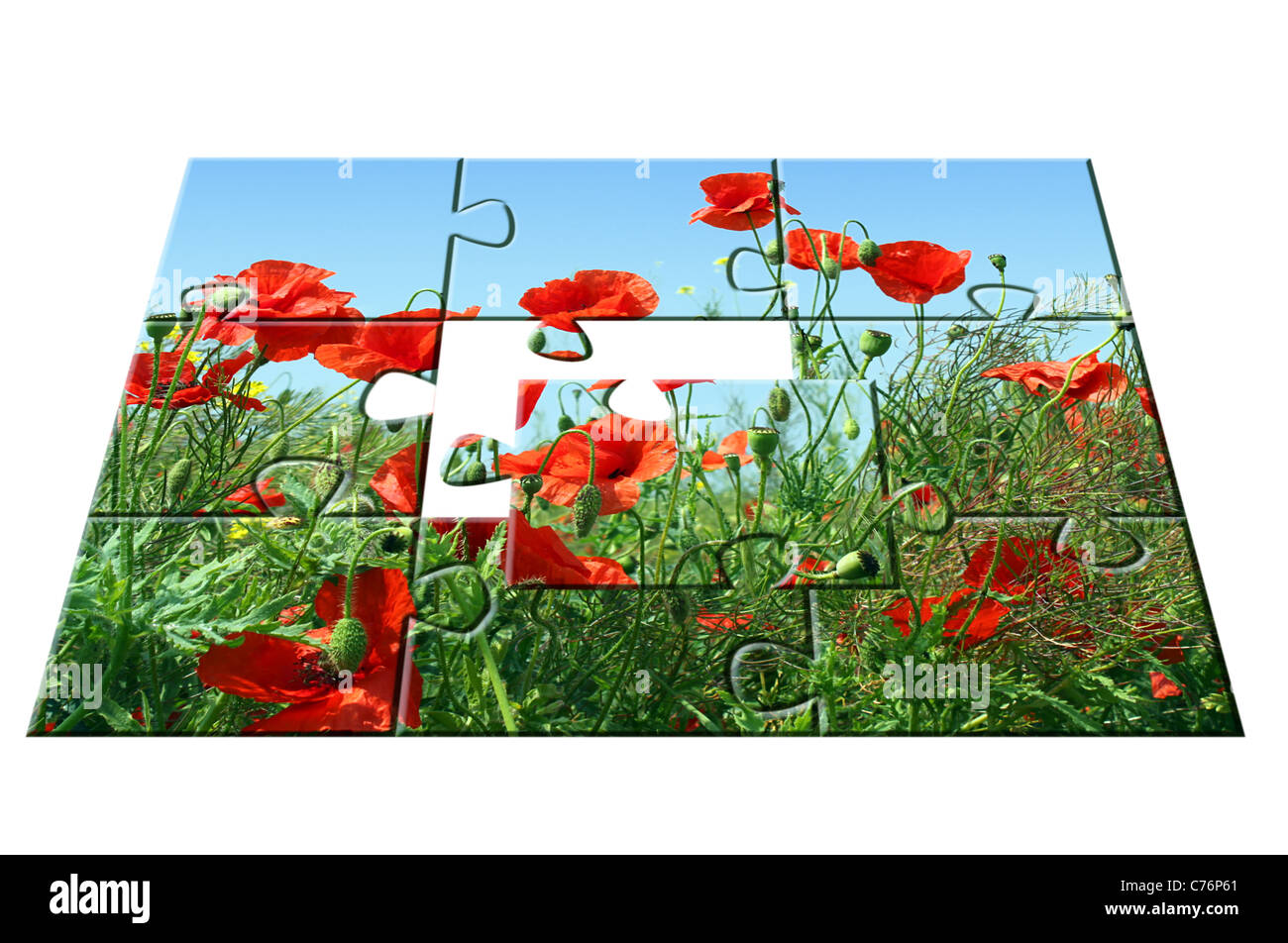 Puzzle papaveri: una parte oltre Foto Stock
