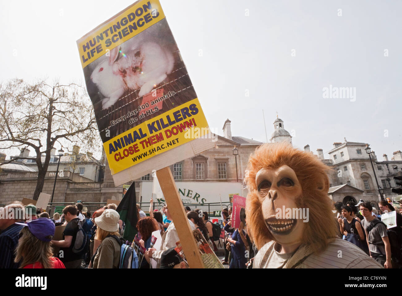 Inghilterra, Londra, Whitehall, i diritti degli animali la dimostrazione Foto Stock