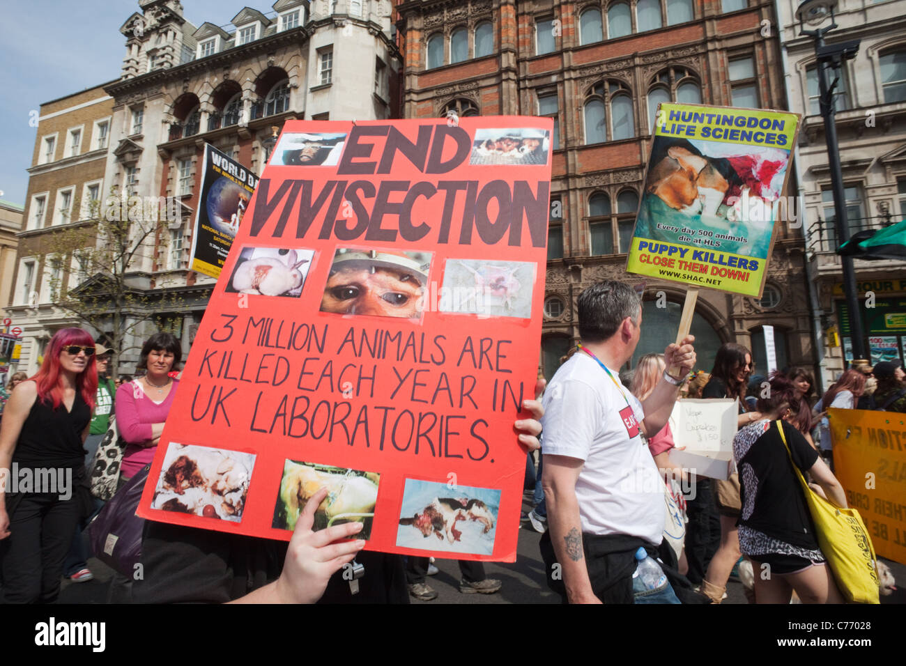 Inghilterra, Londra, Whitehall, i diritti degli animali la dimostrazione Foto Stock