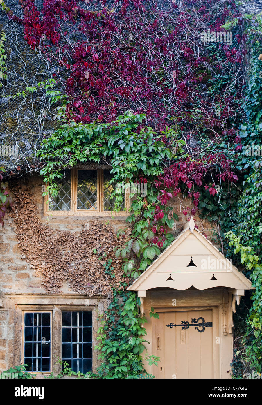 Ivy coperti in paglia cottage inglese. Grande Tew, Oxfordshire, Inghilterra Foto Stock