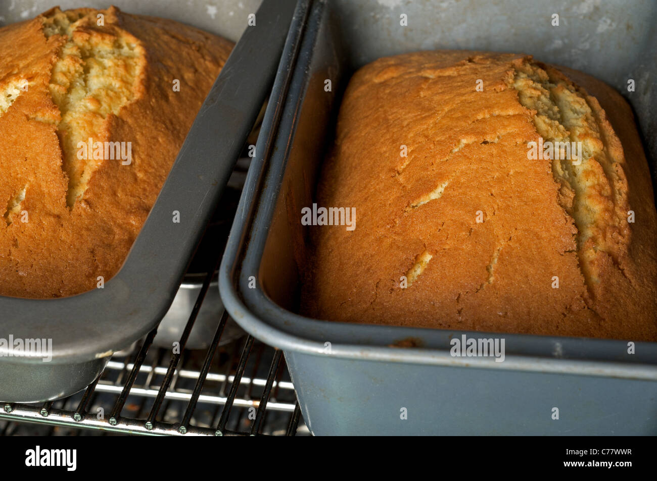 Torte fatte in casa cotto al forno Foto Stock