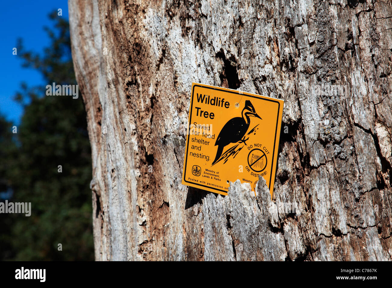 Struttura della fauna selvatica. Salvate per cibo, riparo e nidificazione Foto Stock