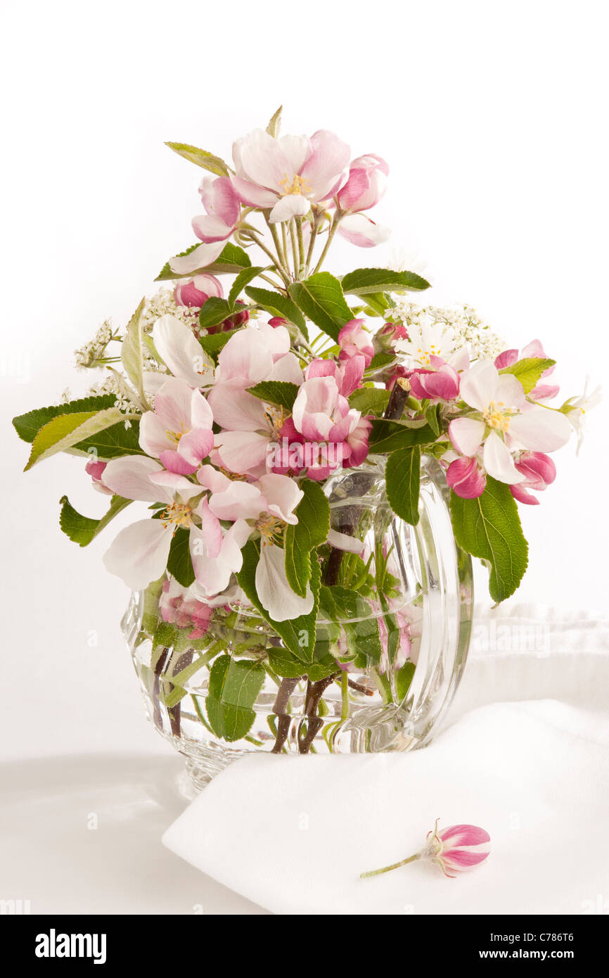 Una disposizione di fresh apple blossom in una caraffa di vetro Foto Stock