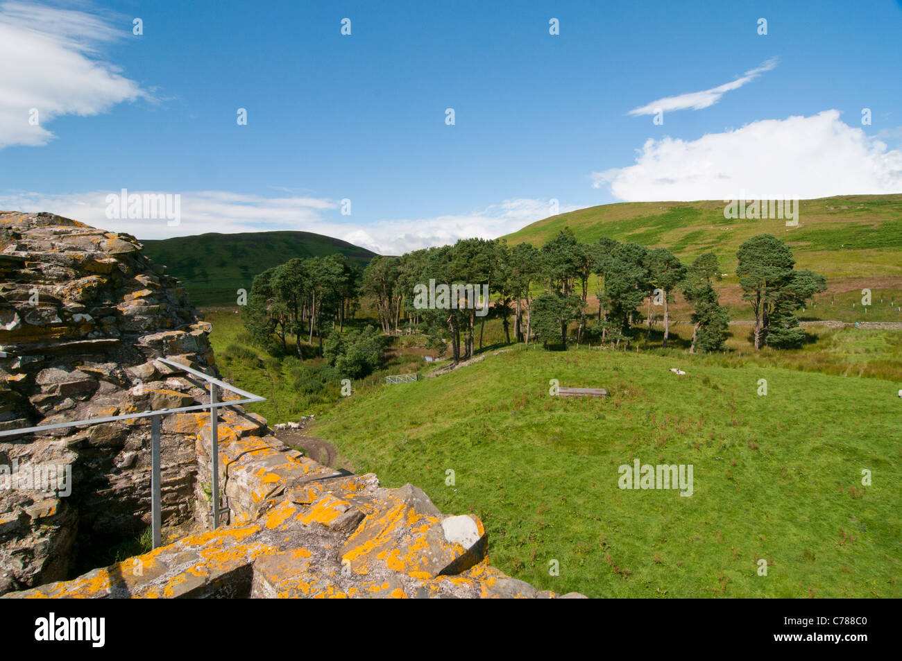 Vista dalla cima della torre Dryhope Foto Stock