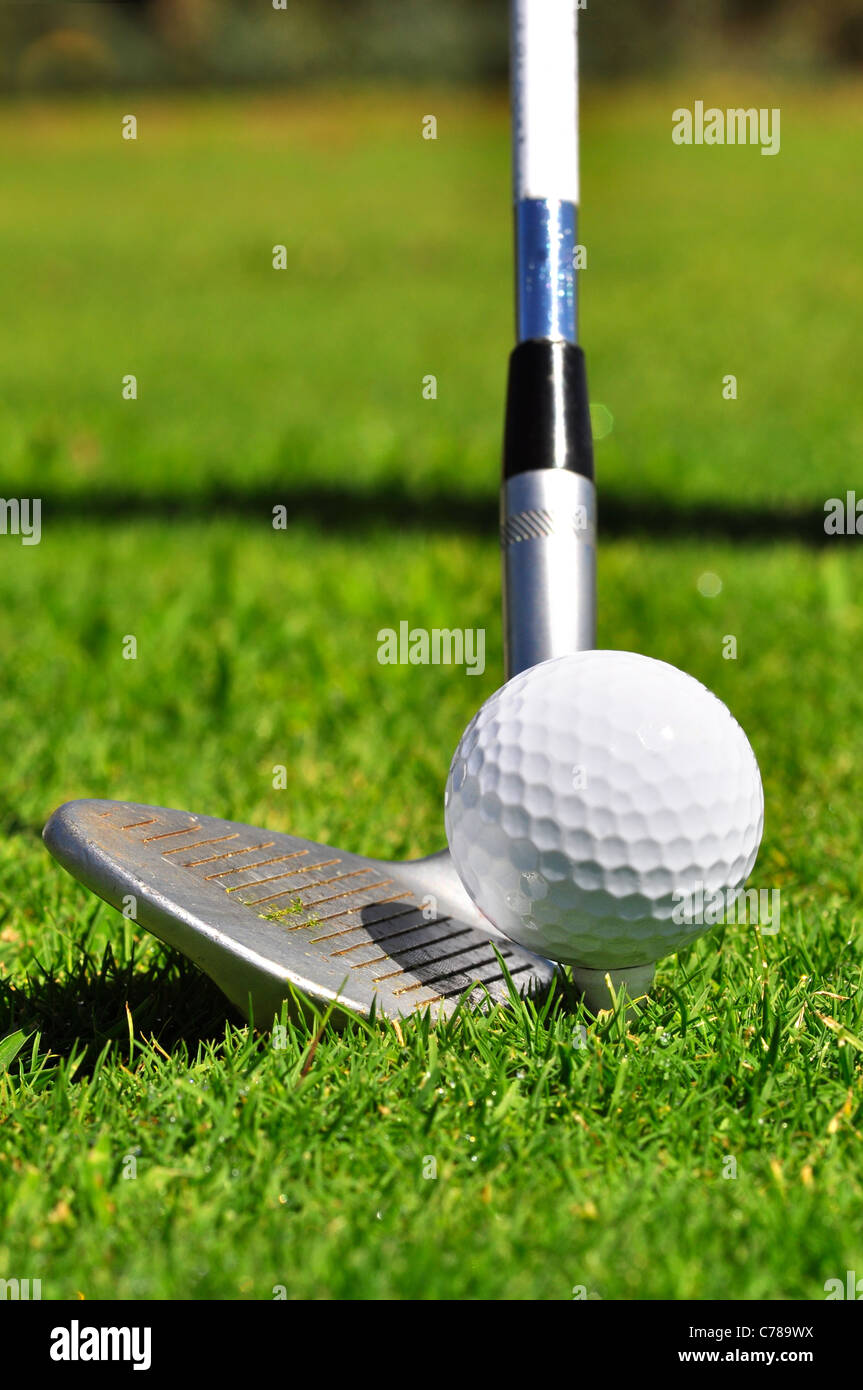 La pallina da golf e driver, pronti a colpire su un vero campo da golf. Foto Stock
