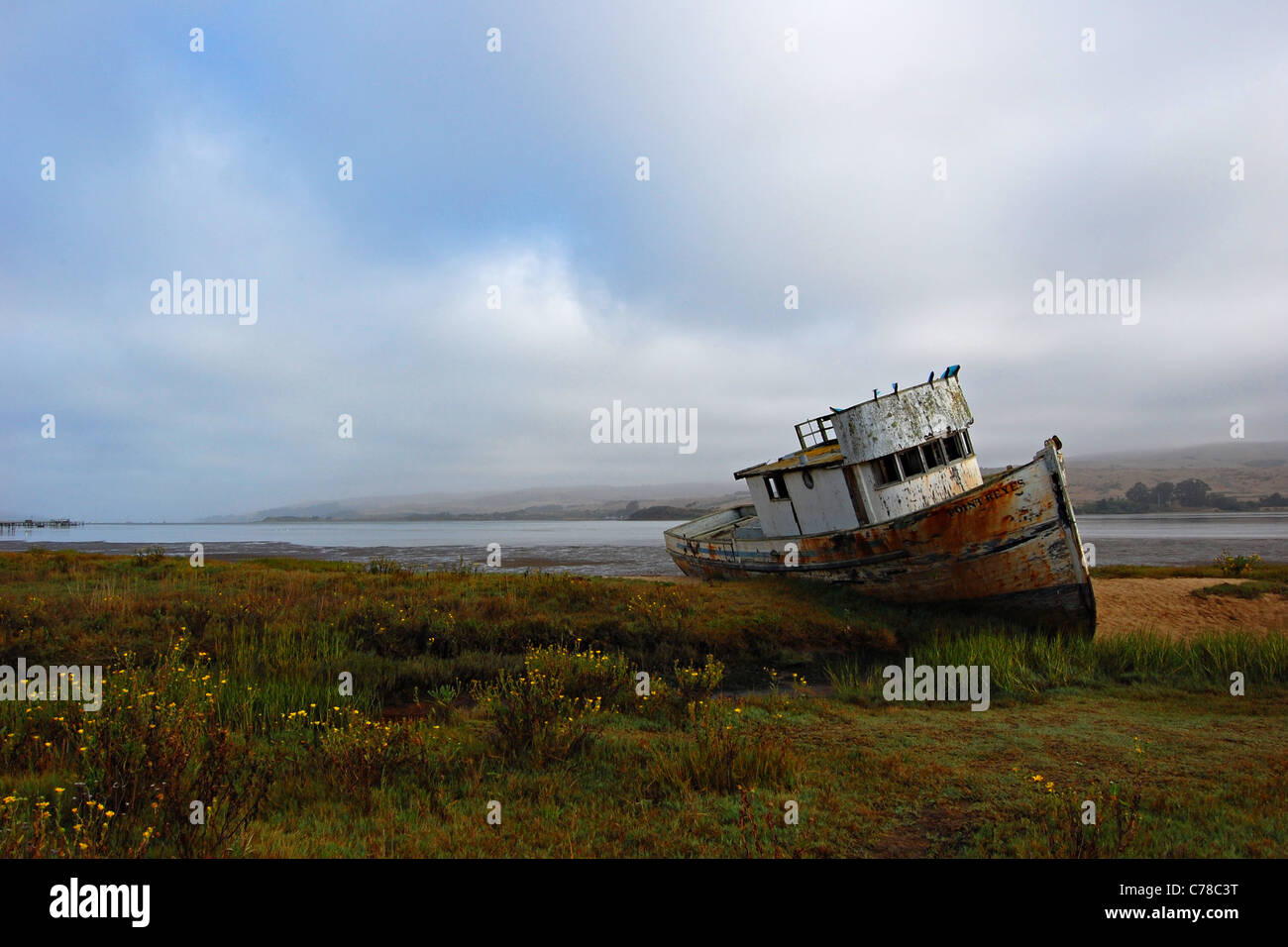 Tomales Bay Point Reyes National Seashore, California Foto Stock