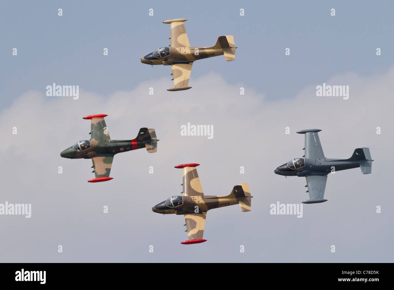 Team Viper Strikemasters a Biggin Hill Air Fair 2010 Foto Stock