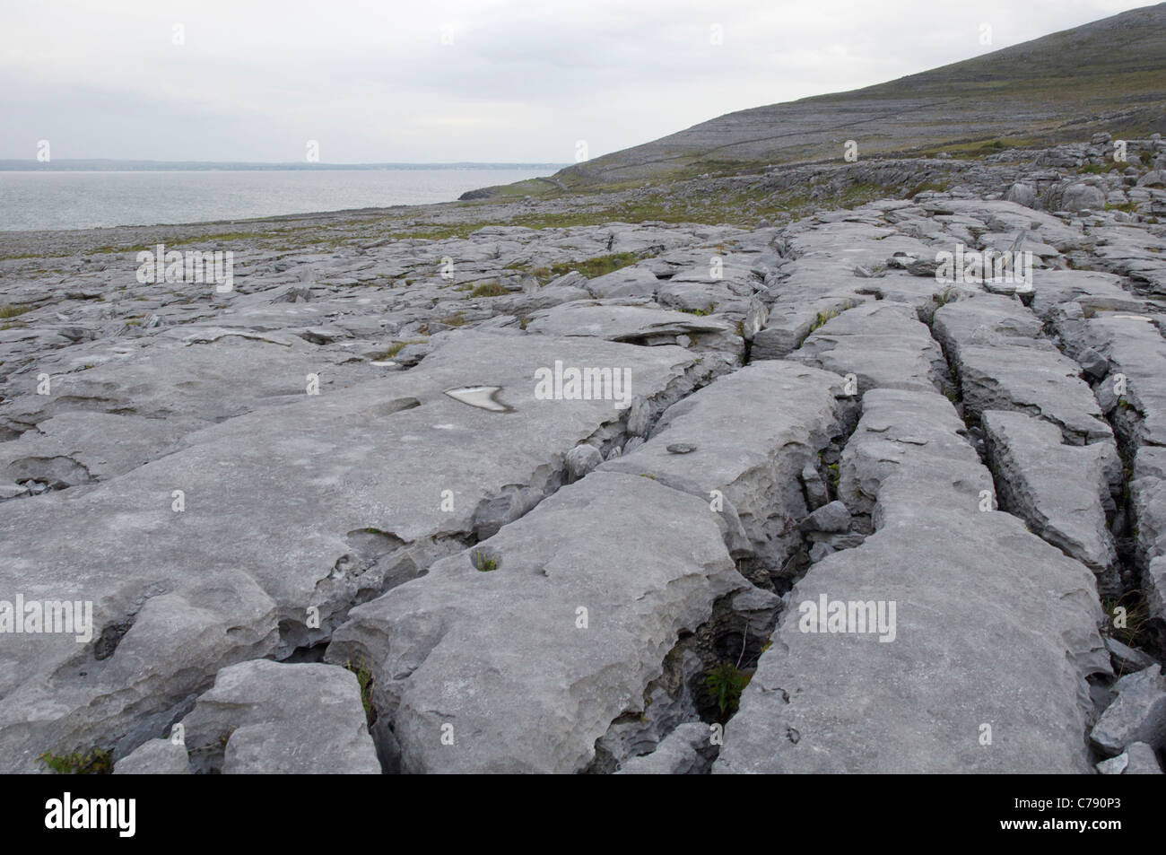 Grykes nella pavimentazione di pietra calcarea dall Oceano Atlantico a Burren, Co. Clare, Irlanda Foto Stock