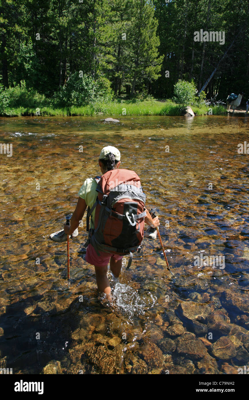 Donna escursionista attraversa il Popo Agie nel fiume del Wyoming Wind River gamma Foto Stock