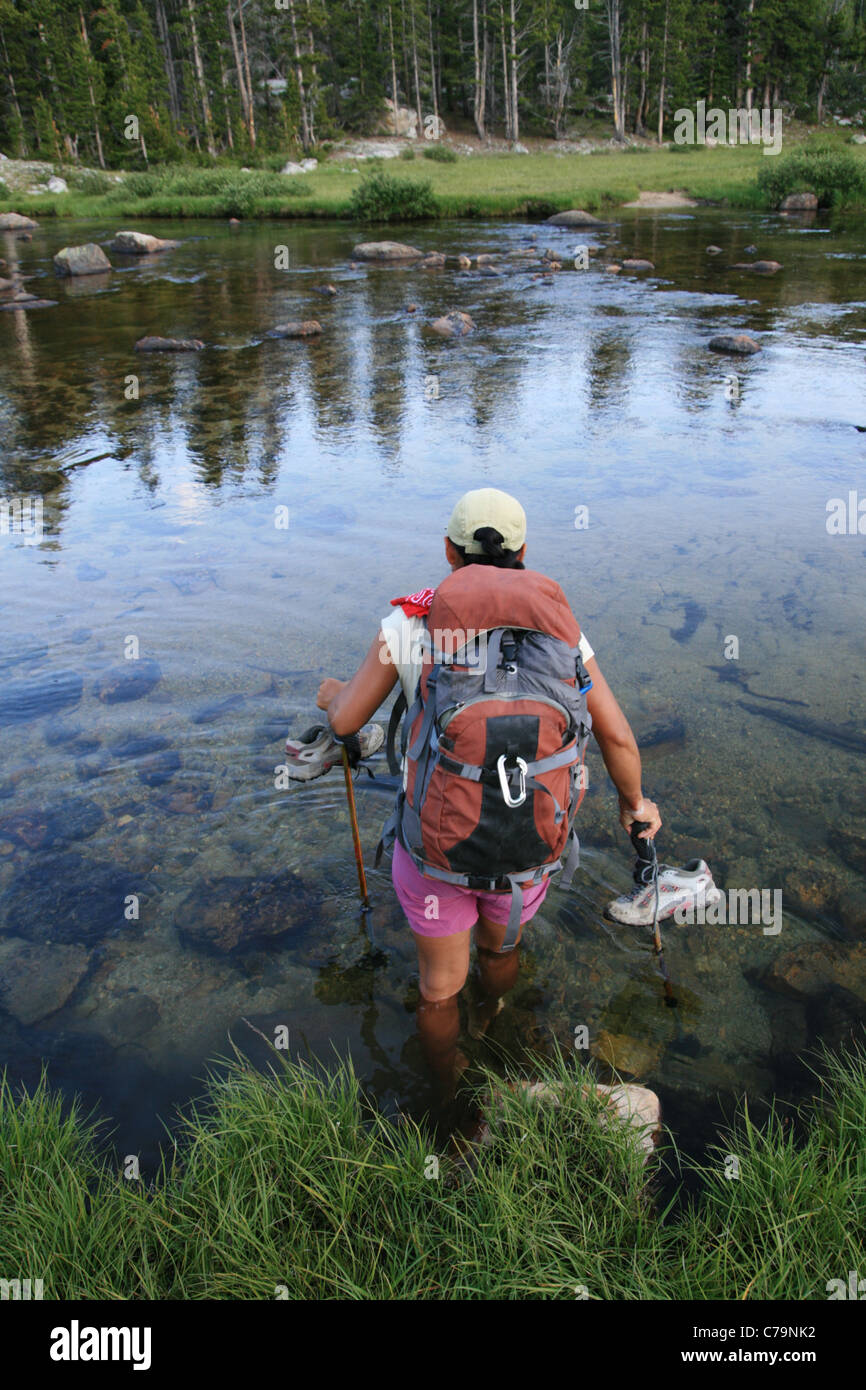 Donna backpacker guada il Popo Agie nel fiume del Wyoming Wind River gamma Foto Stock