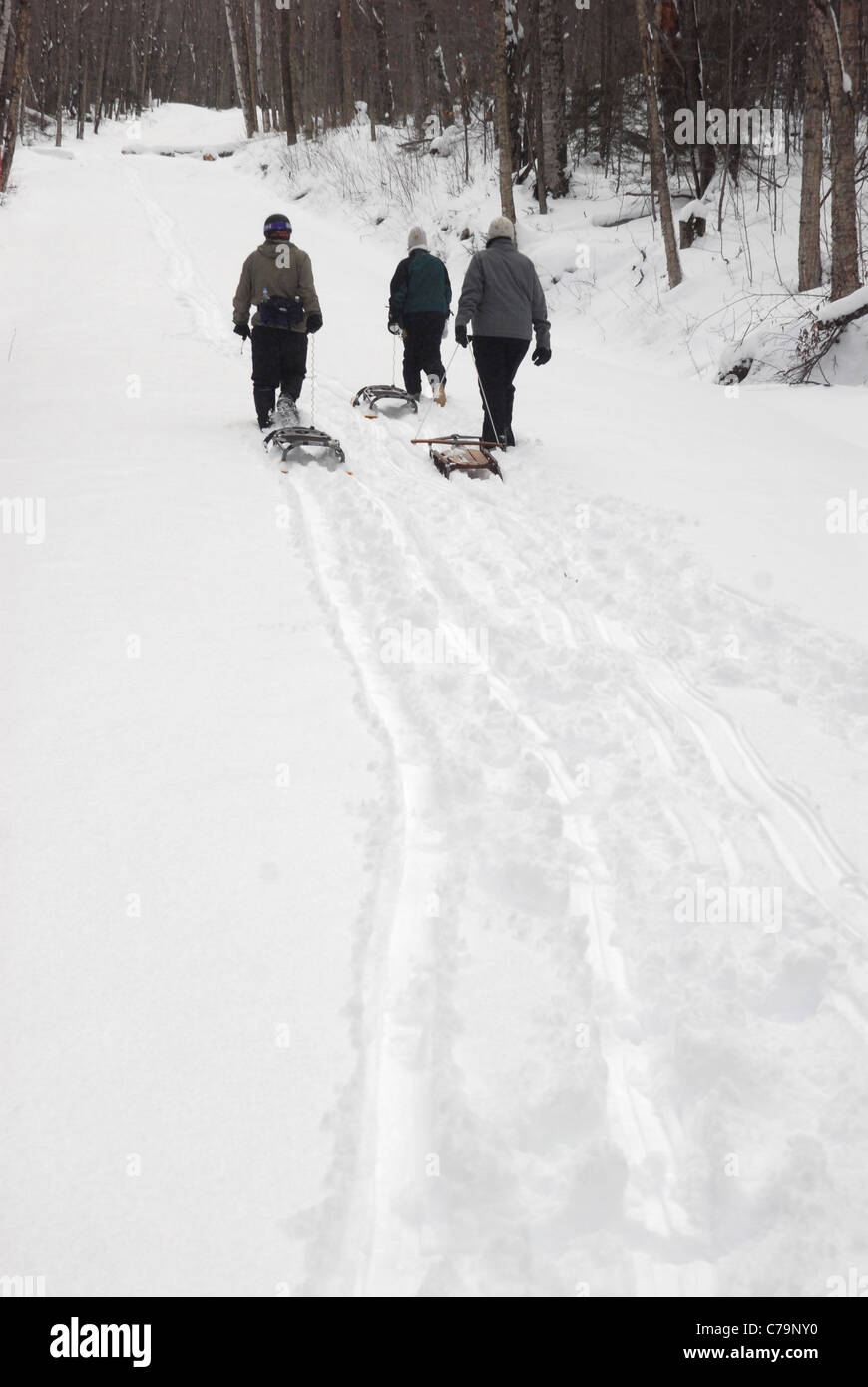 Tre sledders a piedi fino alla cima di una collina in preparazione per slittino giù per una strada chiusa durante il periodo invernale in Vermont. Foto Stock