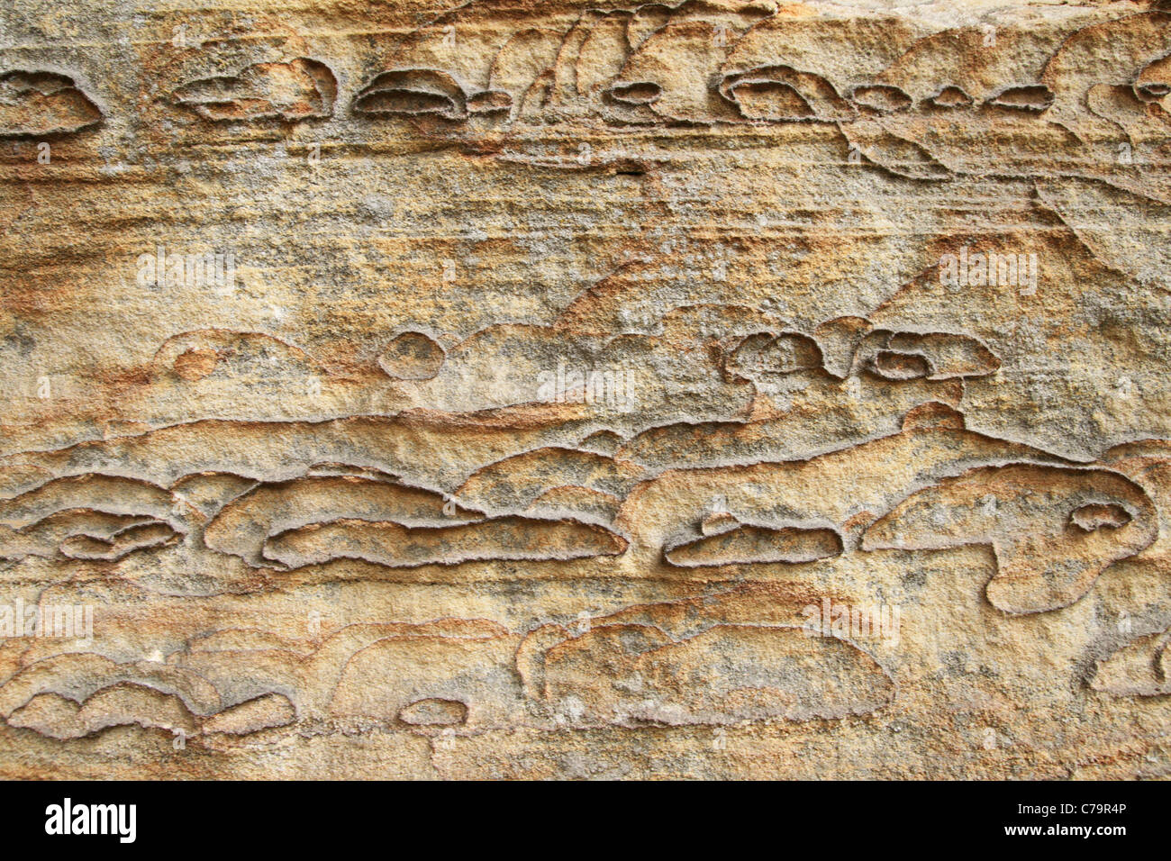 Modellato sullo sfondo di pietra arenaria con anelli di ossido di ferro Foto Stock