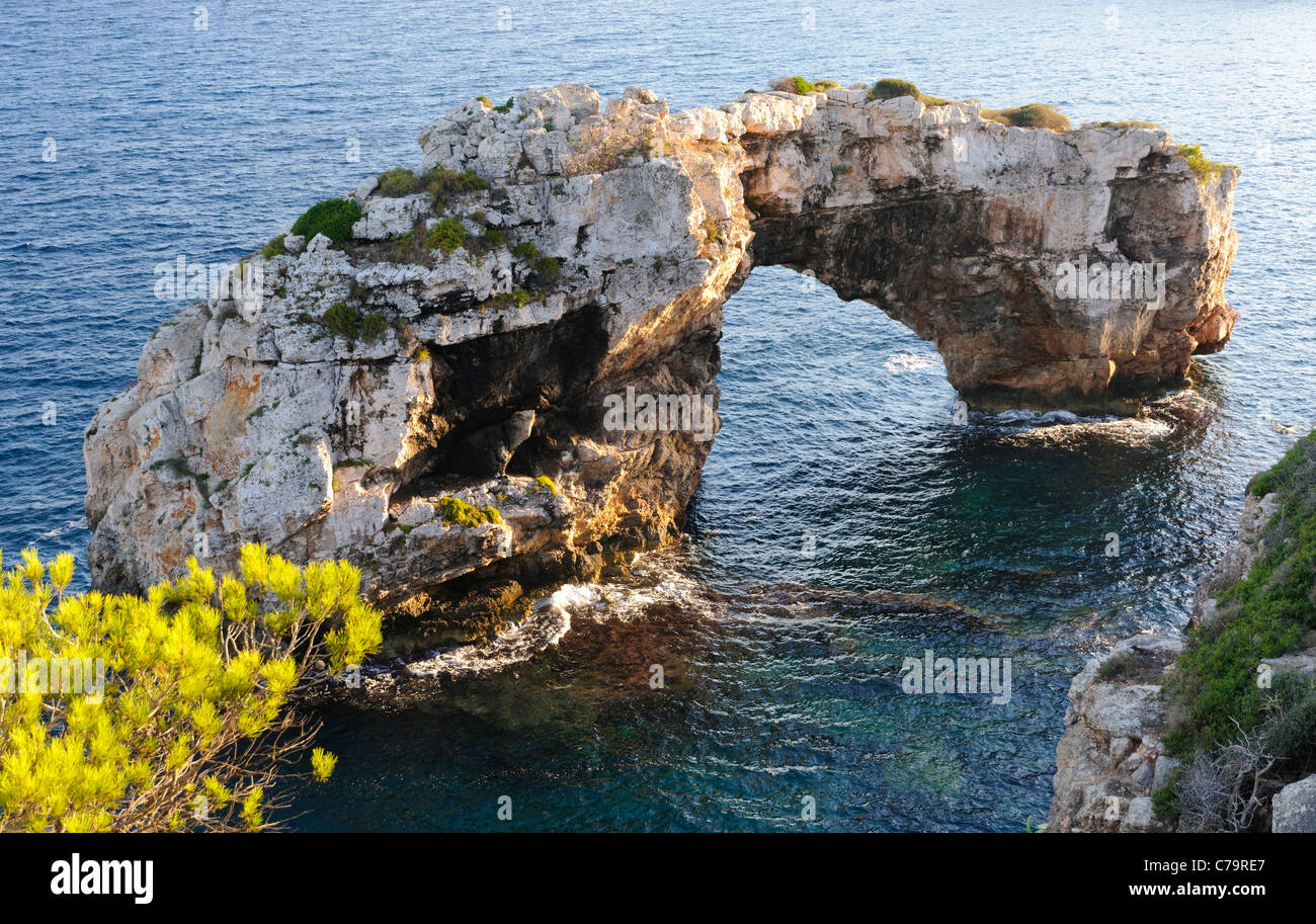 Es Pontas, una roccia naturale arch al largo della costa di Cala Santanyi, Maiorca, isole Baleari, Spagna, Europa Foto Stock