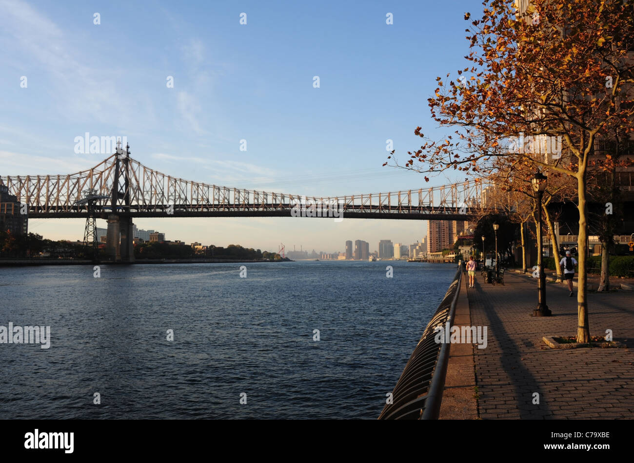 Cielo blu vista la mattina di East River e il Queensboro Bridge da East River Esplanade autunno alberi e per chi ama fare jogging, New York City, Stati Uniti d'America Foto Stock