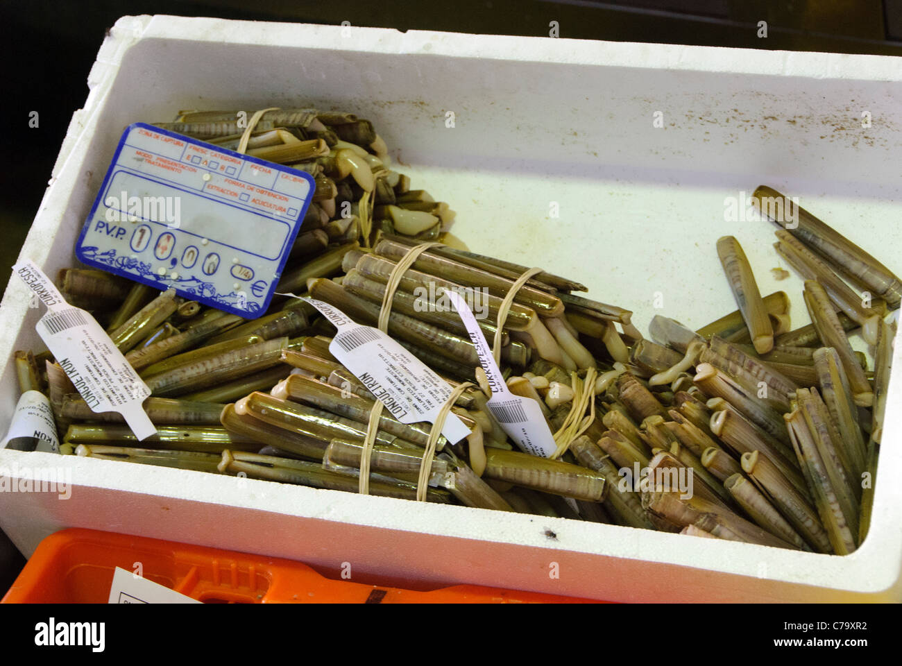 Scatola del guscio di rasoio nel mercato del pesce - Pontedeume, Galizia, Spagna Foto Stock