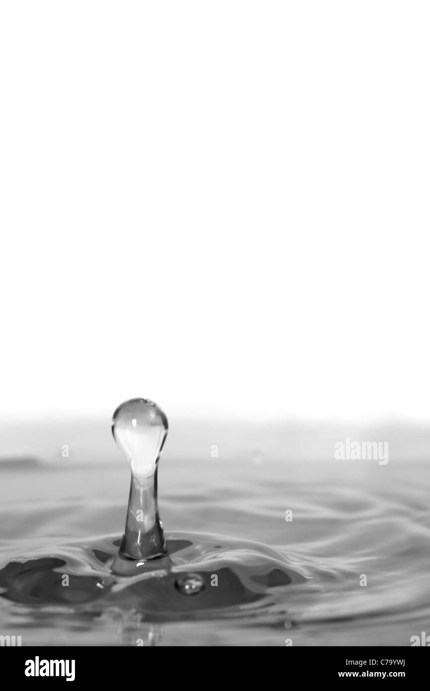 Una chiara goccia d'acqua splash isolate su uno sfondo bianco. Profondità di campo. Foto Stock