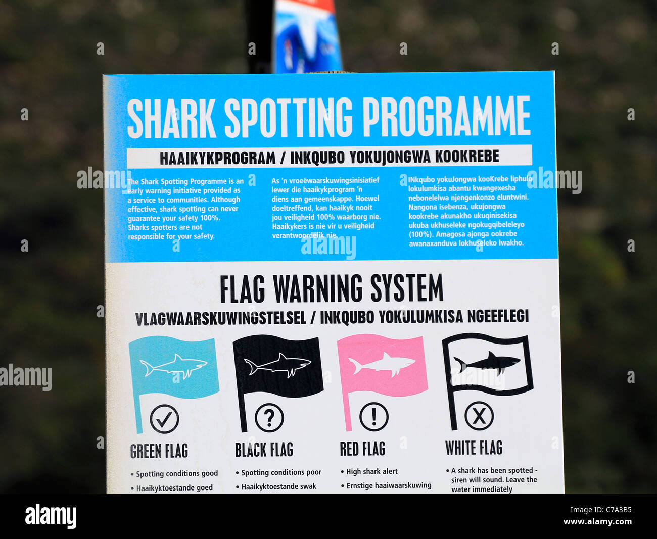 Bacheca spiegando shark sistema di avviso al pubblico in muizenberg spiaggia nei pressi di Città del Capo. Si tratta di una popolare surf spot. Foto Stock