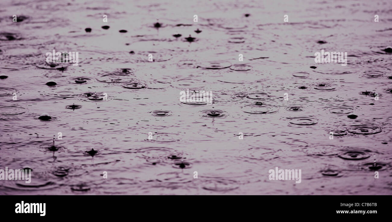 Ecologia acqua gocce di pioggia sul lago. Foto Stock