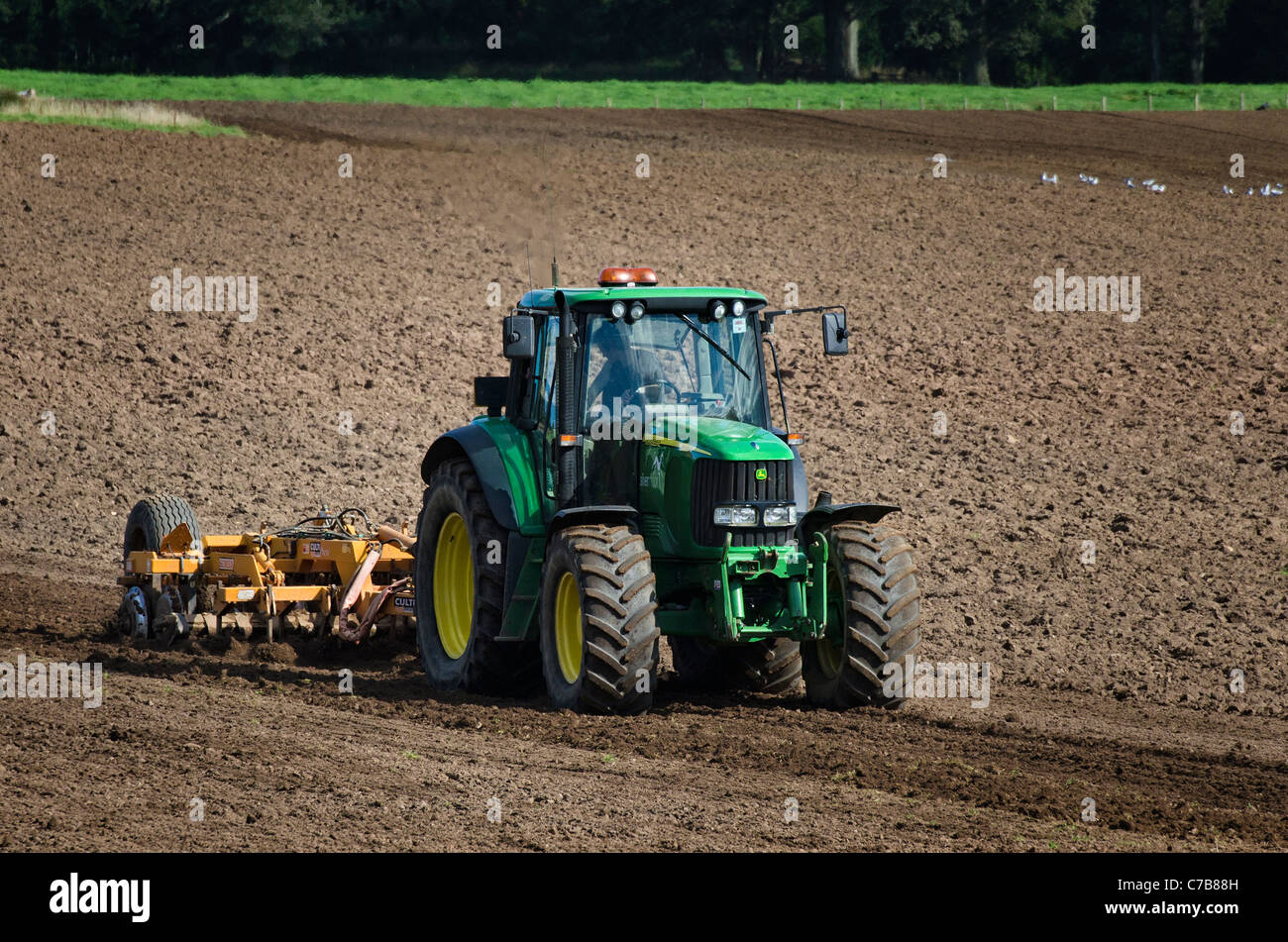 Il trattore coltivando un campo Foto Stock