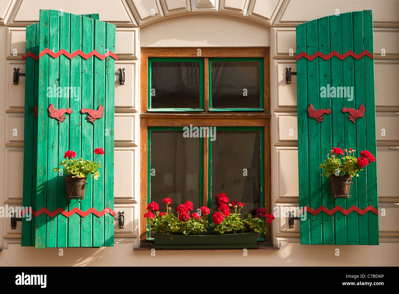 Verniciato di verde persiana con fiore di geranio. Cracovia in Polonia. Foto Stock