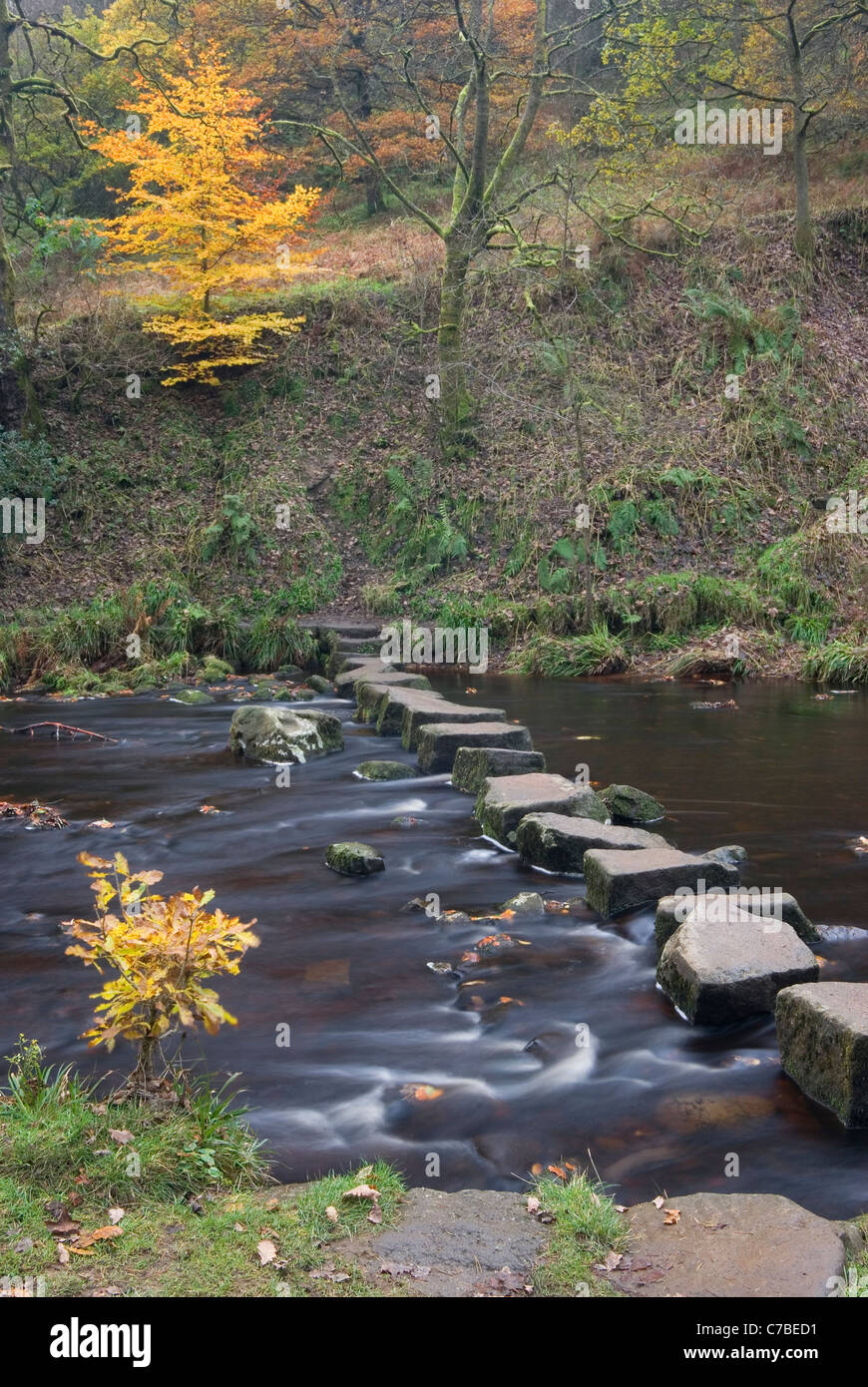 Pietre miliari su Hebden acqua in autunno, vicino Hebden Bridge, Calderdale, nello Yorkshire, Regno Unito Foto Stock