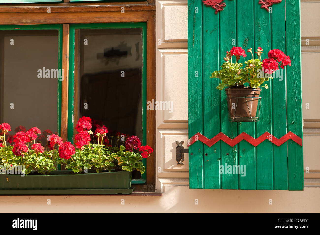 Verniciato di verde persiana con fiore di geranio. Cracovia in Polonia. Foto Stock