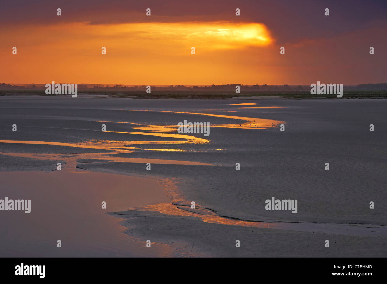 La mattina presto a La Baie de Somme a Saint-Valery-sur-Somme, Dept. Somme Picardia, Francia, Europa Foto Stock