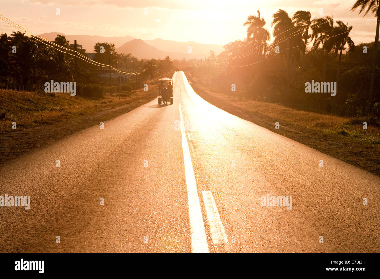 Carrozza a cavallo sulla strada al tramonto, nei pressi di Sancti Spiritus, Sancti Spiritus, Cuba, Caraibi Foto Stock