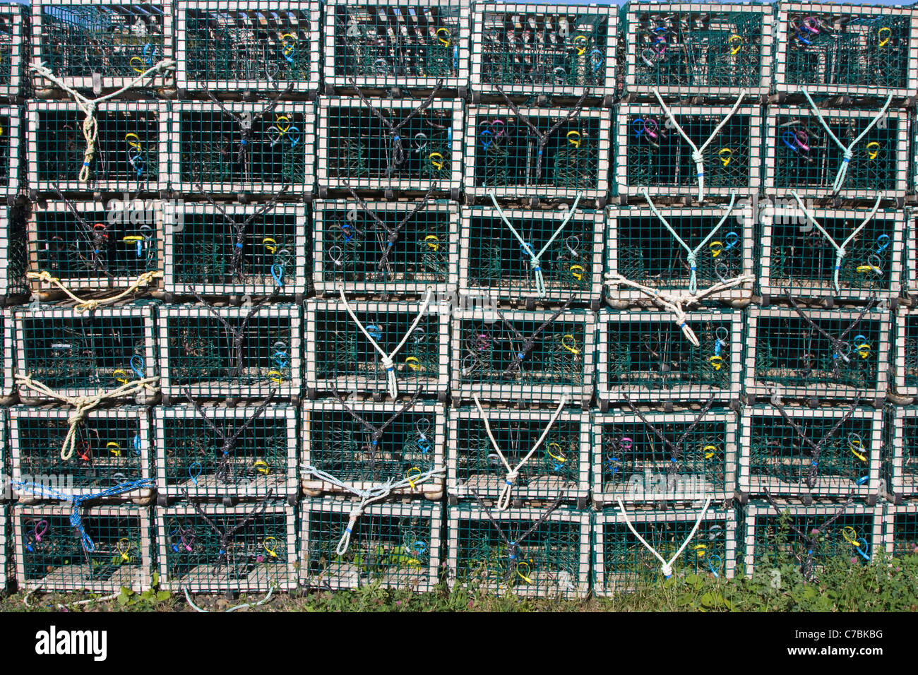 Le trappole a base di aragosta su terra, Nova Scotia, Canada Foto Stock