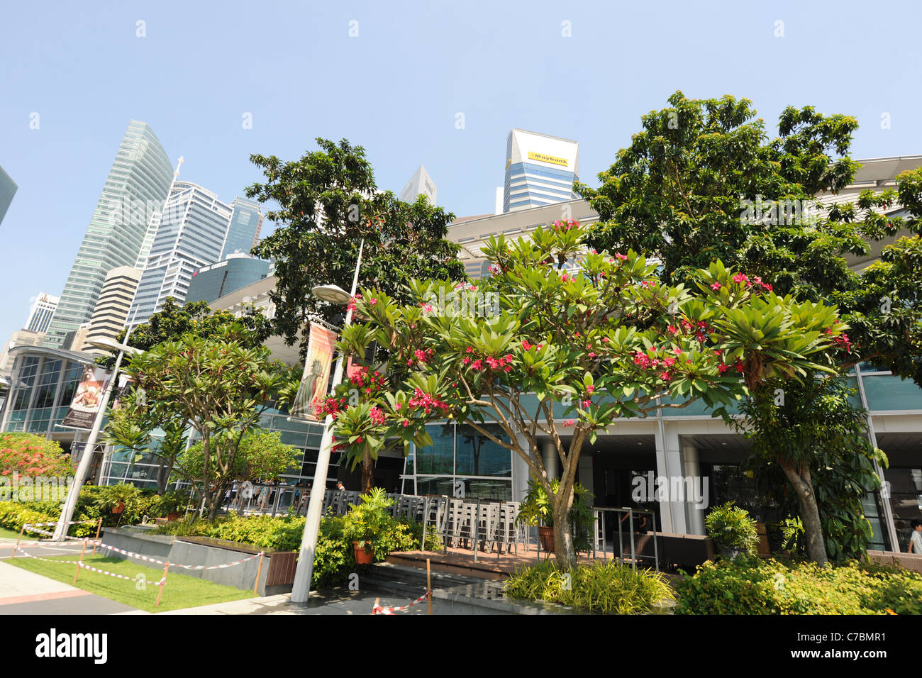 Il Frangipani Tree e uno Fullerton, Singapore Foto Stock