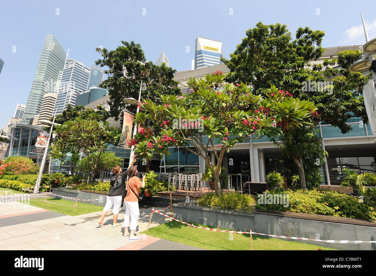 Turisti e Frangipani Tree, uno Fullerton, Singapore Foto Stock