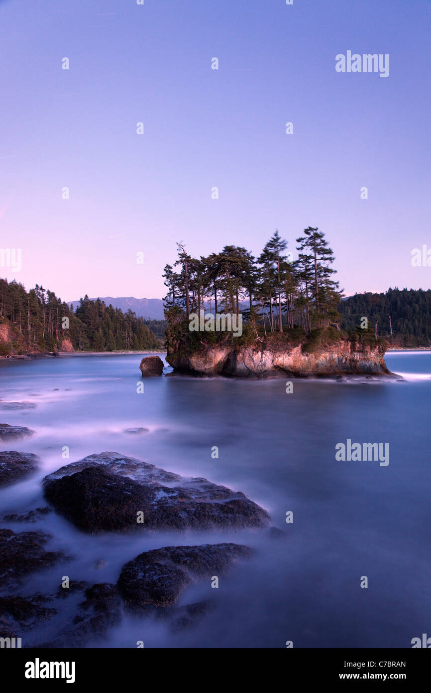 Robusto litorale a Salt Creek Recreation Area, Clallam County, Washington, Stati Uniti d'America Foto Stock