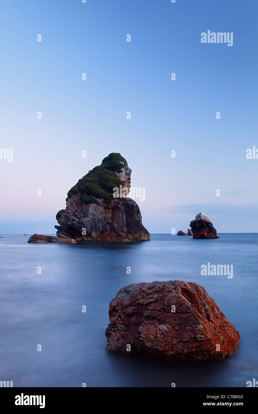 In mare le pile, Harris Beach State Park, Brookings, Oregon, USA, America del Nord Foto Stock