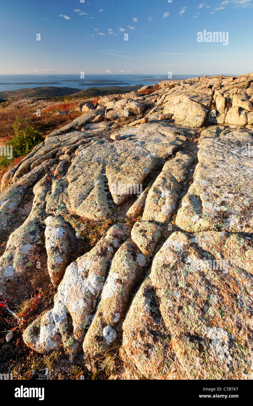 Autunno a colori nel mezzo di granito roccia sulla cima del Cadillac Mountain, isola di Mount Desert, Parco Nazionale di Acadia, Maine Foto Stock