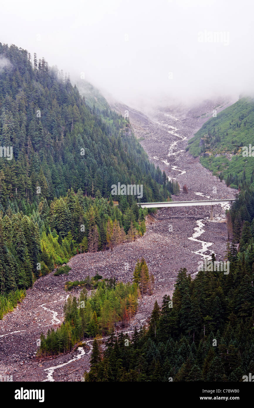 Fiume Nisqually e Nisqually River Bridge, il Parco Nazionale del Monte Rainier, Washington, Stati Uniti d'America Foto Stock