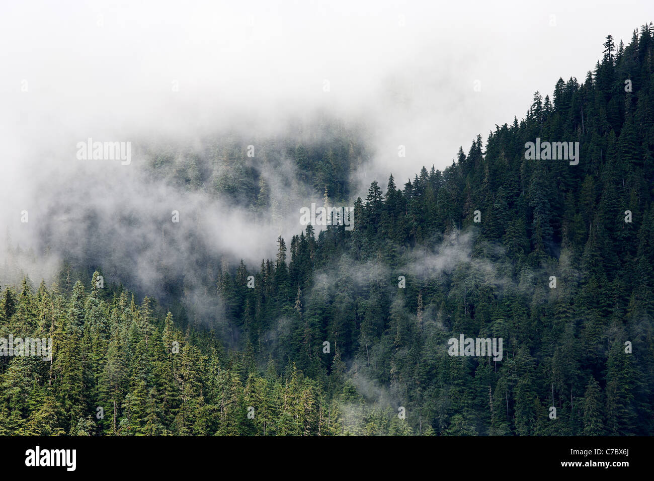 Nuvole intervallati con il vecchio crescita creste boscose, il Parco Nazionale del Monte Rainier, Washington, Stati Uniti d'America Foto Stock