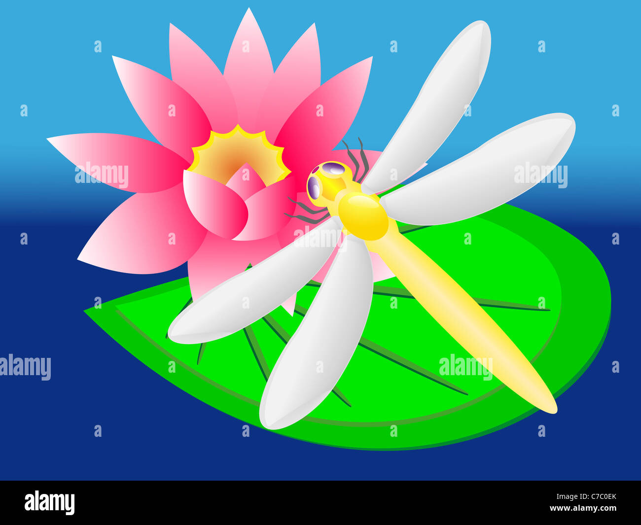 Libellula su lily illustrazione Foto Stock