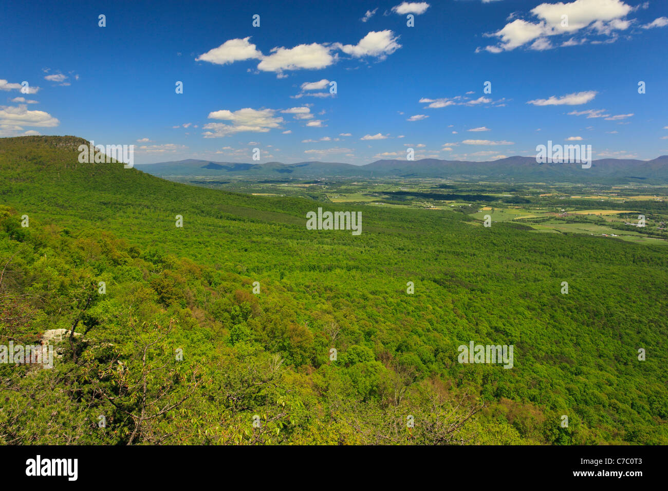 Storia Prenota Trail, Massanutten montagna, Shenandoah Valley, Virginia, Stati Uniti d'America Foto Stock