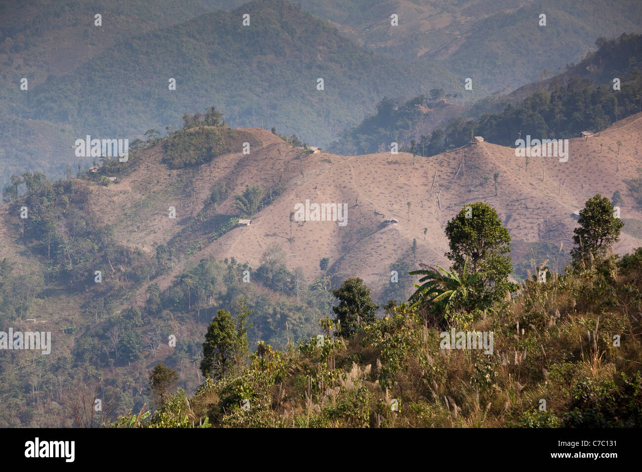 India, Nagaland, Mon, colline disboscate da Konyak Naga slash e masterizzare agricoltura vicino al confine birmano Foto Stock