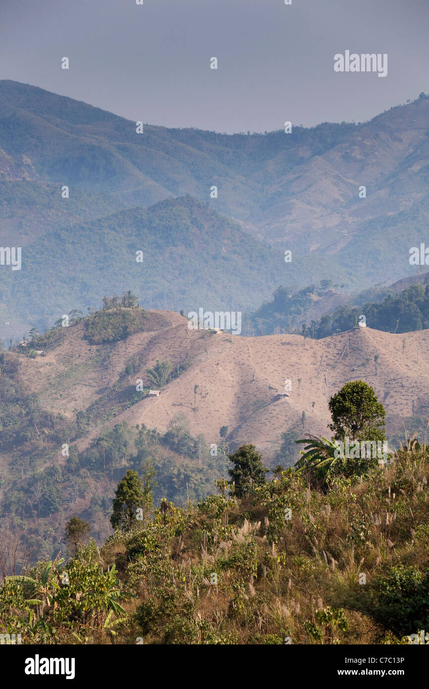 India, Nagaland, Mon, colline disboscate da Konyak Naga slash e masterizzare agricoltura vicino al confine birmano Foto Stock