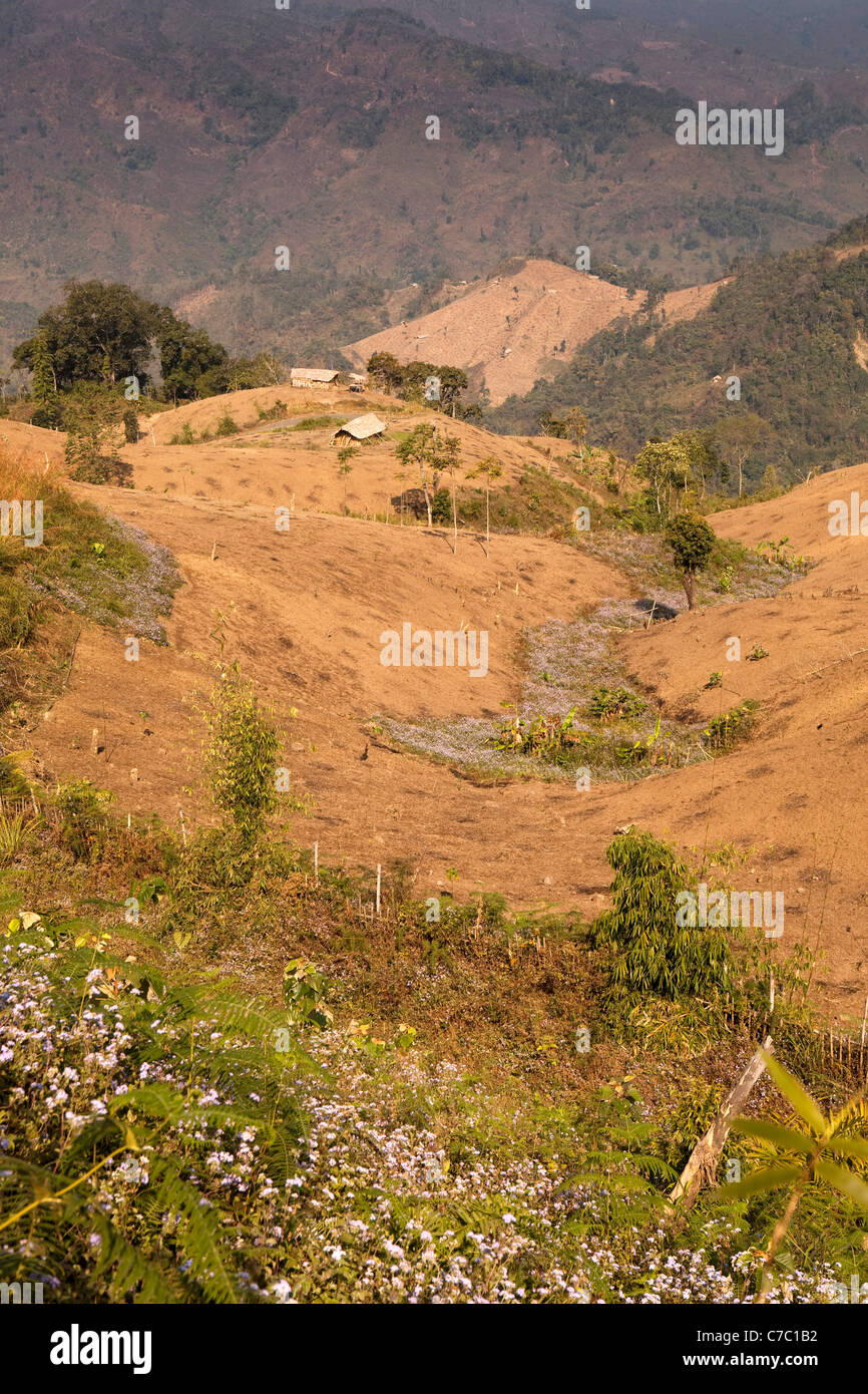 India, Nagaland, Mon, colline disboscate da Konyak Naga slash e masterizzare agricoltura vicino al confine birmano Foto Stock