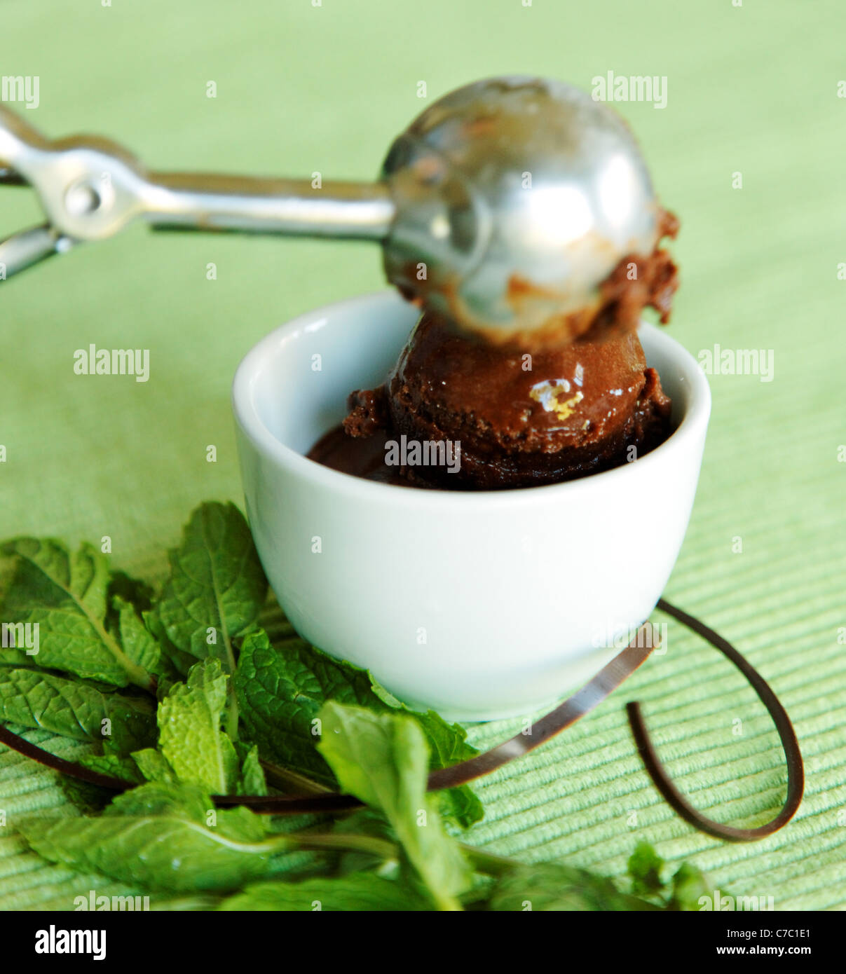 Il cioccolato e menta fresca sorbetto di essere servito in tazza bianca, dal pasticcere Laurie Pfalzer, pasticceria artigianale Foto Stock