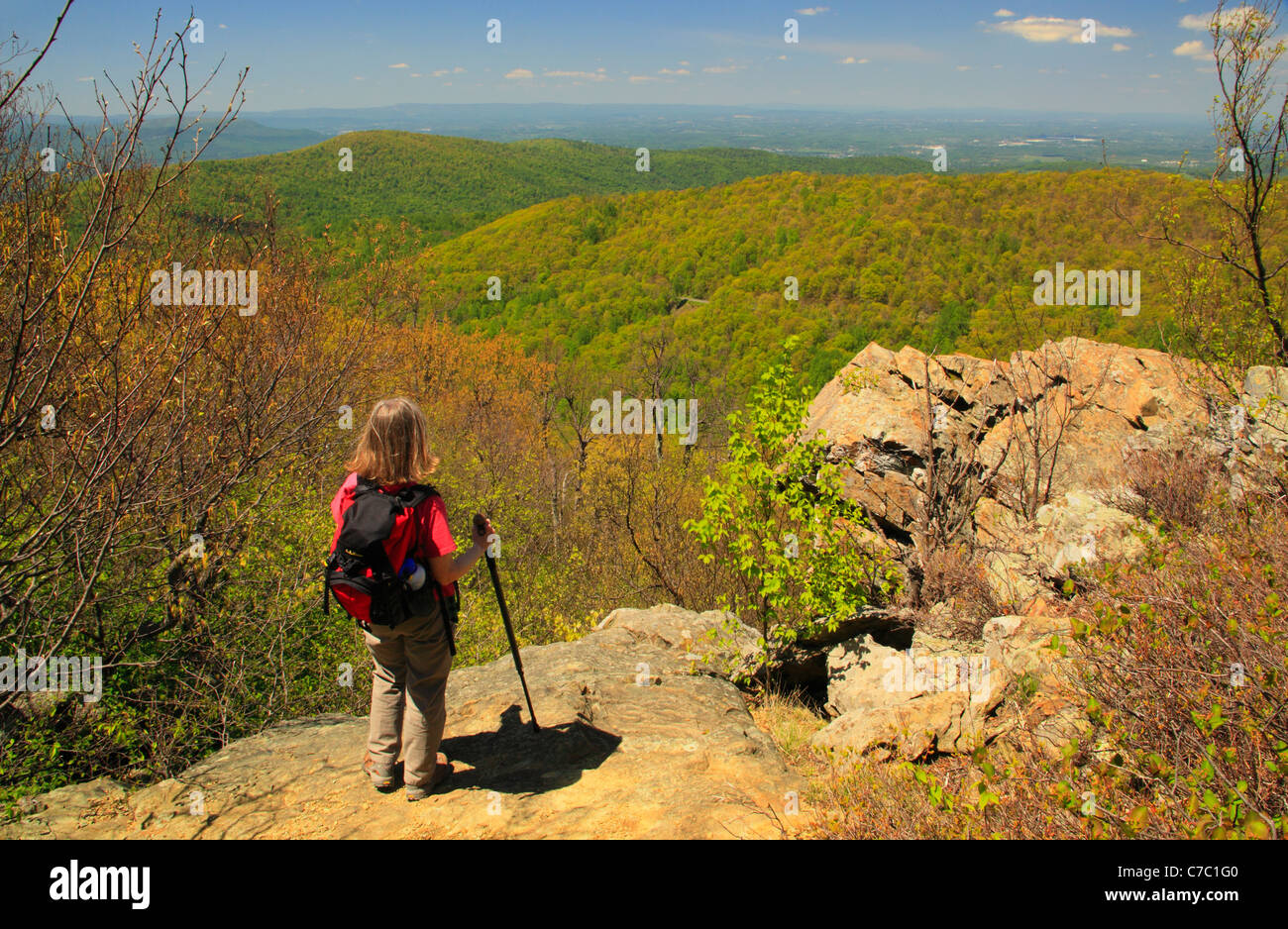 Vista dall'Appalachian Trail, Compton picco, Parco Nazionale di Shenandoah, Virginia, Stati Uniti d'America Foto Stock