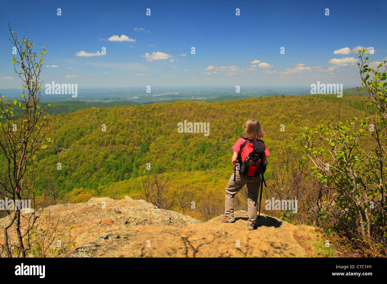 Vista dall'Appalachian Trail, Compton picco, Parco Nazionale di Shenandoah, Virginia, Stati Uniti d'America Foto Stock