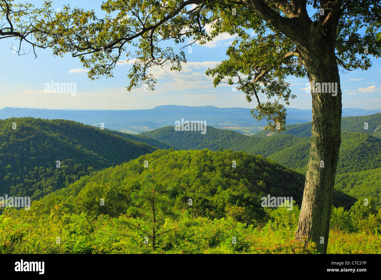 Brown Mountain si affacciano, Parco Nazionale di Shenandoah, Virginia, Stati Uniti d'America Foto Stock