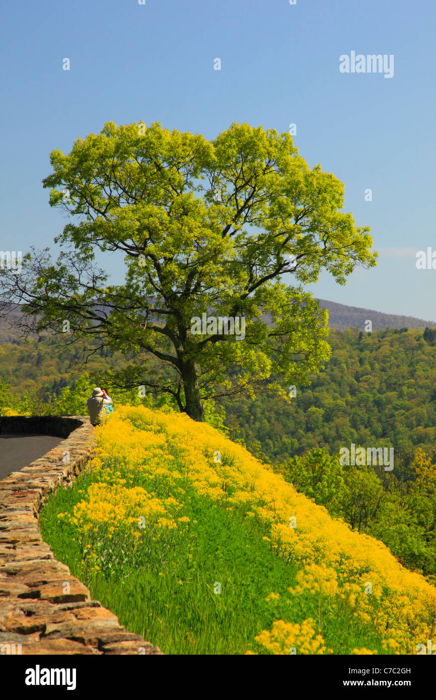 Si affacciano a nord di Rt 211, Parco Nazionale di Shenandoah, Virginia, Stati Uniti d'America Foto Stock