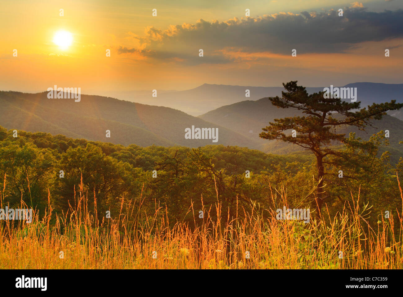 Two Mile Run, si affacciano sul Parco Nazionale di Shenandoah, Virginia, Stati Uniti d'America Foto Stock