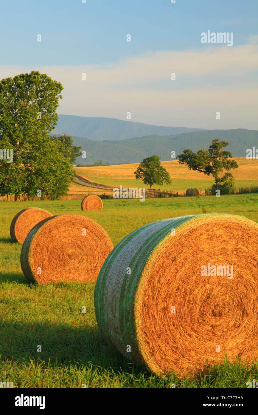Balle di fieno e Farm, Swoope, Shenandoah Valley, Virginia, Stati Uniti d'America Foto Stock