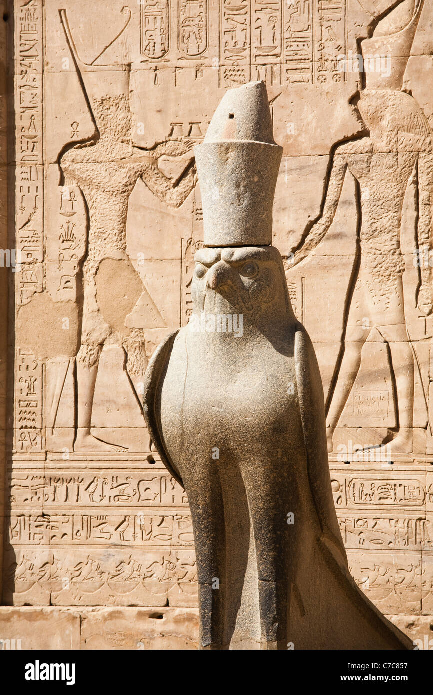 Statua del Falcon-intitolata dio Horus in Corte di offerte nel Tempio di Horus in Edfu, Egitto Foto Stock